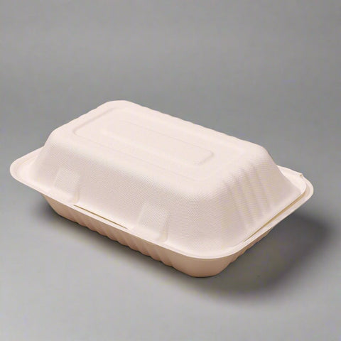 Compostable Bagasse Box (M)